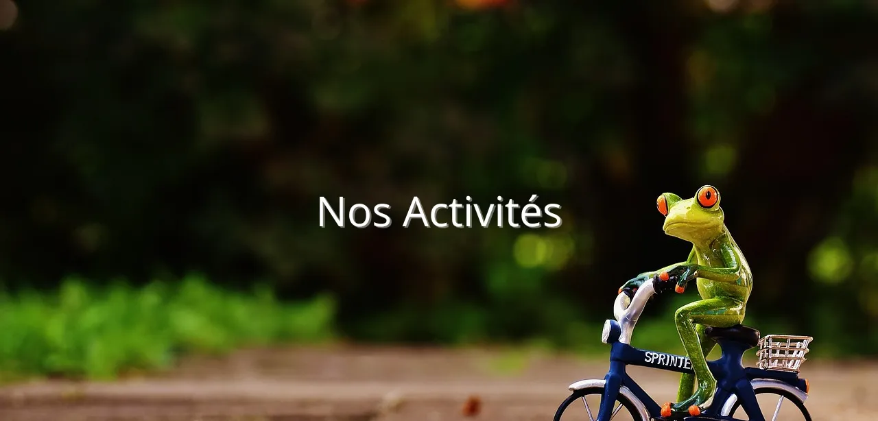 IMAGE - USC CYCLOTOURISME - ACTIVITÉS